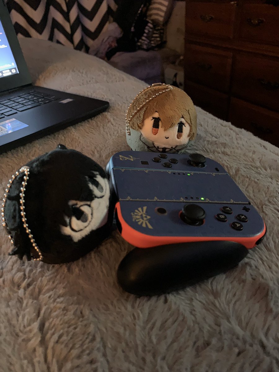 Day 2:Gorb enjoys a little bit of gaming with his round bf. His favorite is splatoon!