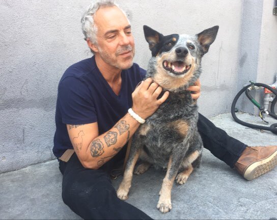 Anyone who knows me, knows that my fave tv detective has always been the late great #RobertUrich as #Spenser. But then <a href="/welliver_titus/">TitusWelliver</a> came along as @BoschAmazon. And now he has a dog &amp; it's a blue heeler. #bestshowontv #toodelicious