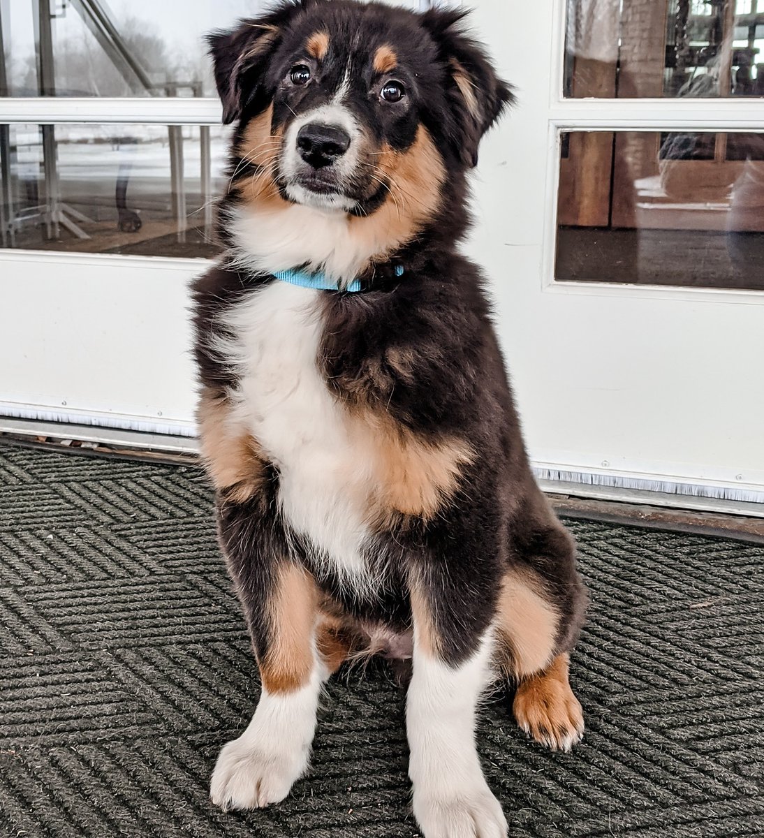 TPC Network - Official Website | TPC.com