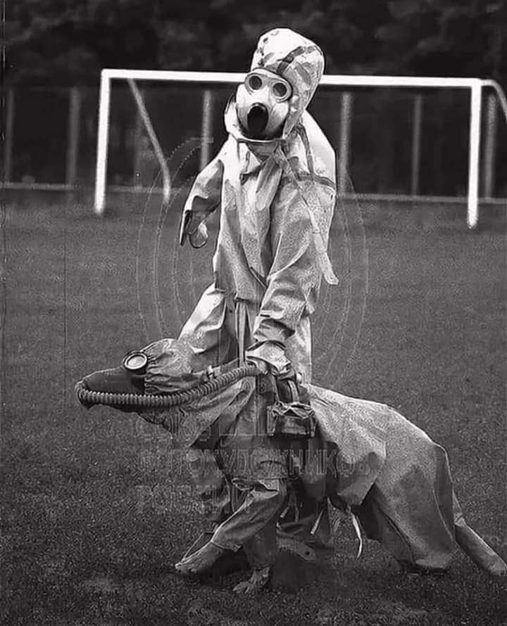 Isle Of Man Prison Dog Section tweet media