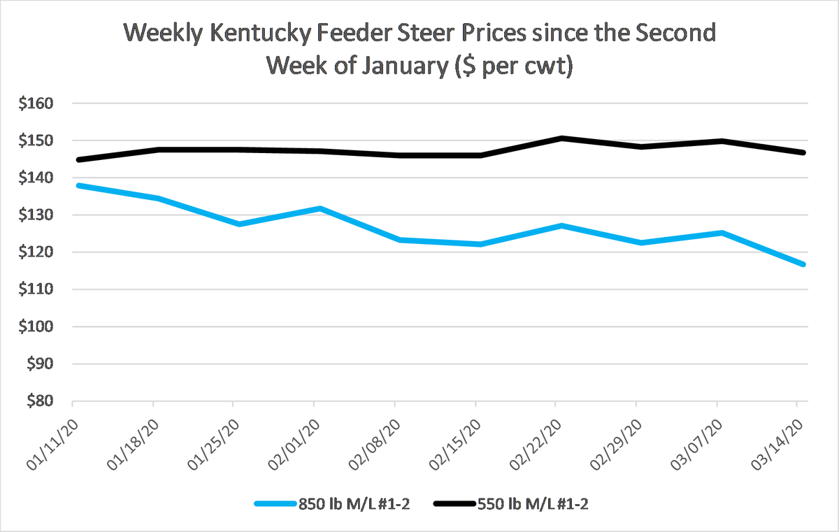 KYCattleEcon's tweet photo. COVID-19 and KY cattle markets? Weekly price data from @USDA_AMS - note the drop for 850 lb steers last week. Lighter calves showing less impact, probably due to approaching spring grass and time from harvest. Stay tuned! #KYCattleMarkets https://t.co/ZdlAZhc0Y5