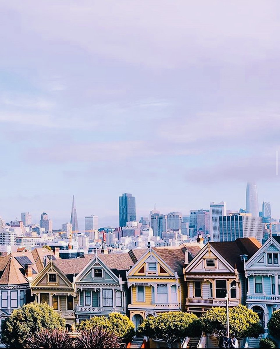 Hotel Zetta tweet media