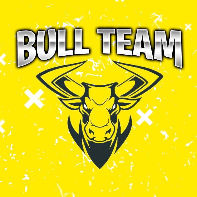 BullTeam1's tweet image. Nueva foto de perfil Ánimo