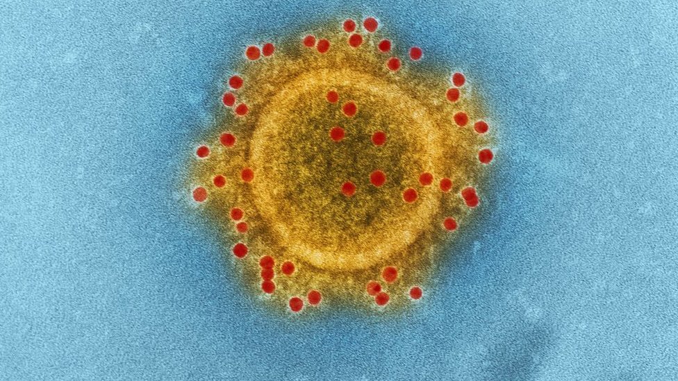Küba'dan koronavirüse karşı 22 ilaç garantisi
cumhuriyet.com.tr/haber/kubadan-…