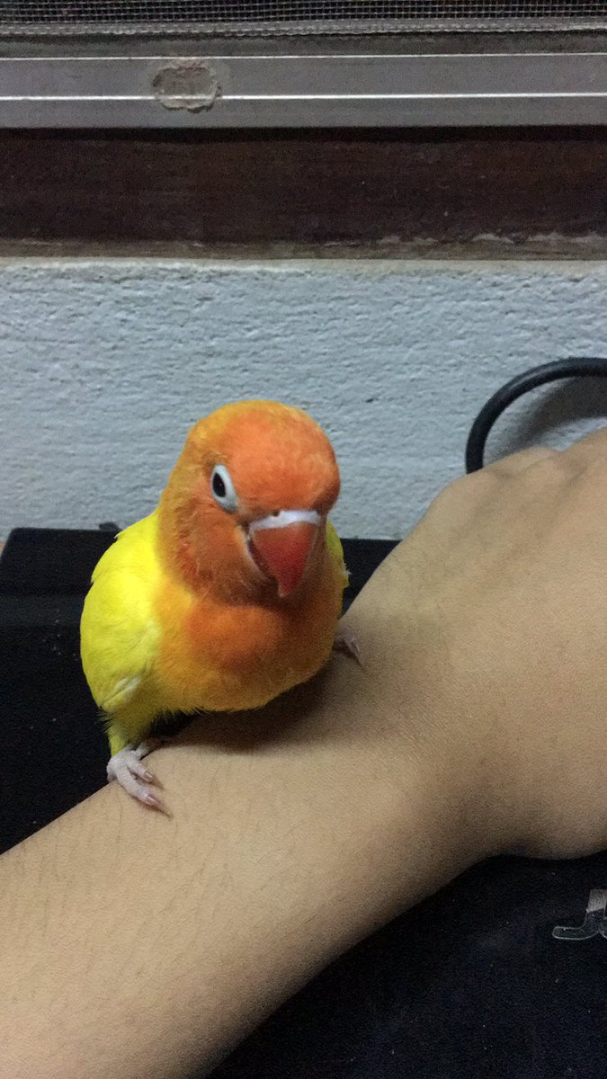 สมฟ่อด บุ๋งบุ๋ง tweet media