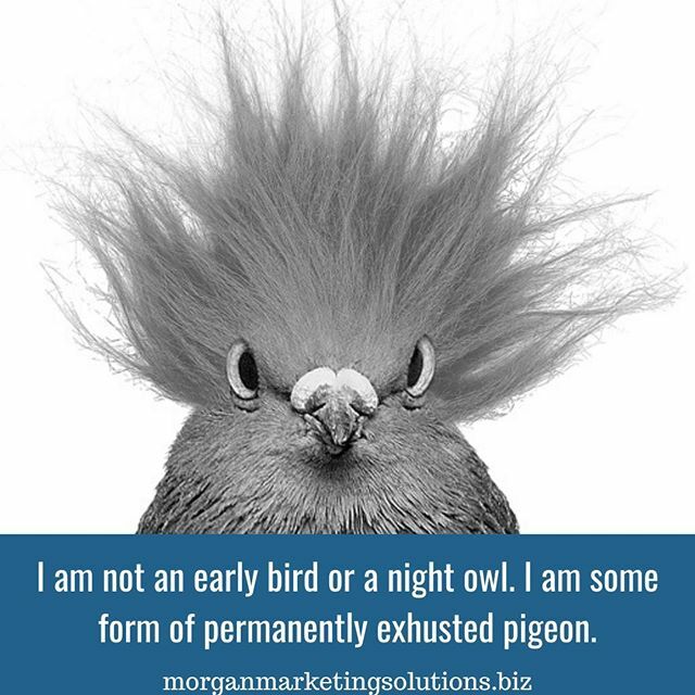 SmallBizMktgSol's tweet photo. #SmallBusinessHumor #Humor #DailySmile #SmallBusinessOwners #Laugh #Funny #NorwellMA #SouthShoreMA #HinghamMA #PembrokeMA #PlymouthMA #WeymouthMA #HanoverMA #RocklandMA #BraintreeMA #ScituateMA #Marshfield #CapeCodMA

https://t.co/wcIe7LFLFq https://t.co/0tEmWehji1 https://t.co/rxf4n7NBjg