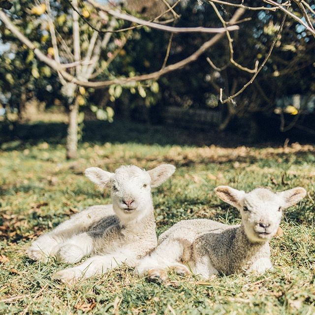 Hannah Belton tweet media