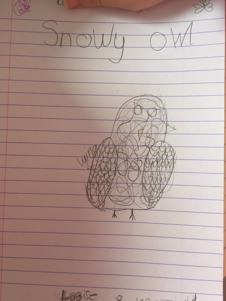 JaneMorrin's tweet photo. @sarahwebbishere Laoise's Snowy Owl! https://t.co/3DRB9qzIOw