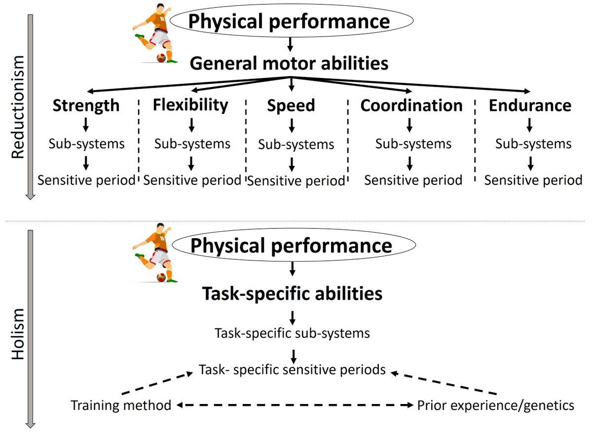 BasVanHooren's tweet photo. New paper: Sensitive Periods to Train General Motor Abilities in Children and Adolescents: Do They Exist? A Critical Appraisal
Free full-text here and more info in thread below:
https://t.co/X3ybW6rWVD
#LTAD #youth #training #children #adolescents #sensitiveperiods #Strength https://t.co/966AIzU4gU
