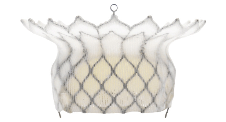 SamISureAm's tweet photo. The first #TAVR procedure used a valve measuring a whopping 41 Fr! Read more about how transcatheter #heart therapies stand to replace their open-heart counterparts. @Medtronic @MDT_Cardiac @EdwardsLifesci @TEConnectivity #HighLifeMedical | https://t.co/R30o8q3Xrx https://t.co/Ptlvpb9Fo5