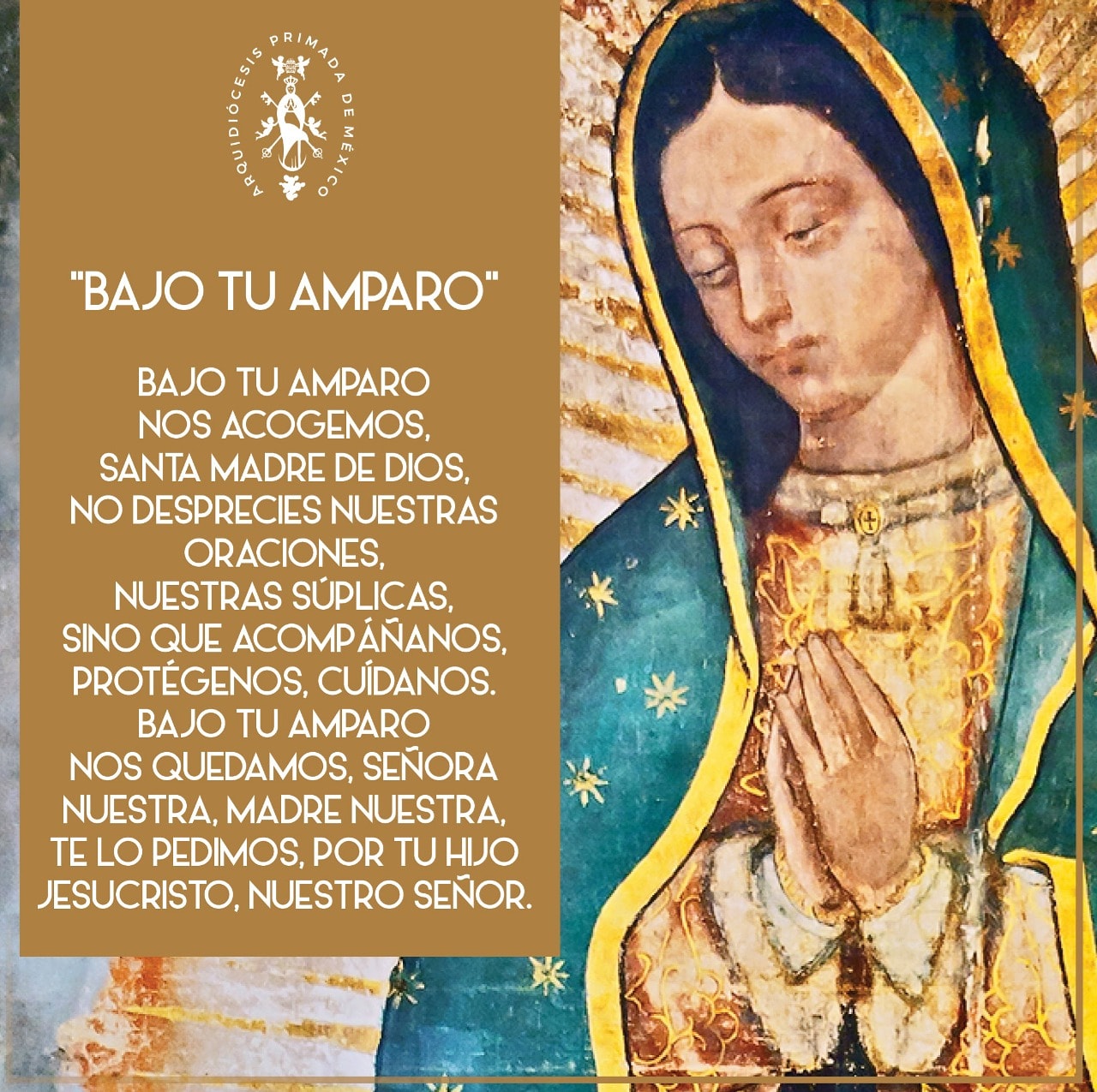 Arquidiócesis Primada de México on Twitter: 
