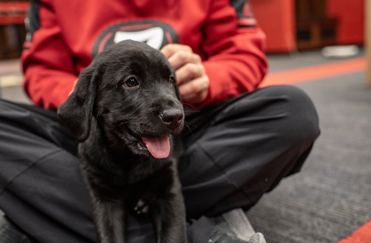 Ottawa REDBLACKS tweet media