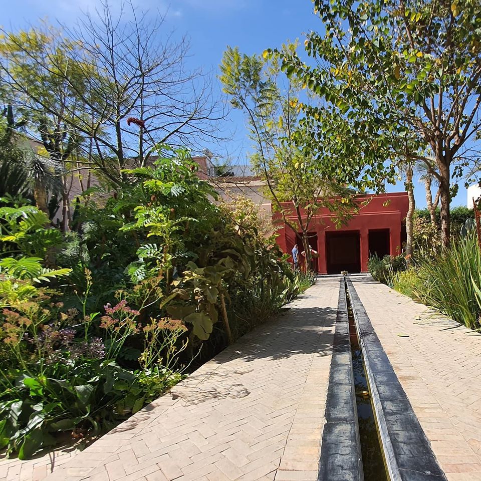 Sara Edwards tweet media