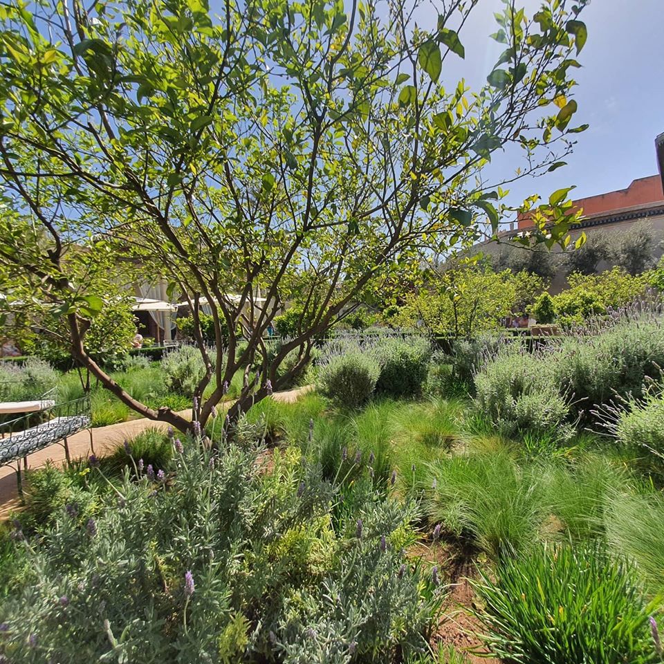 Sara Edwards tweet media