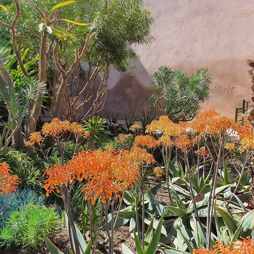 Sara Edwards tweet media