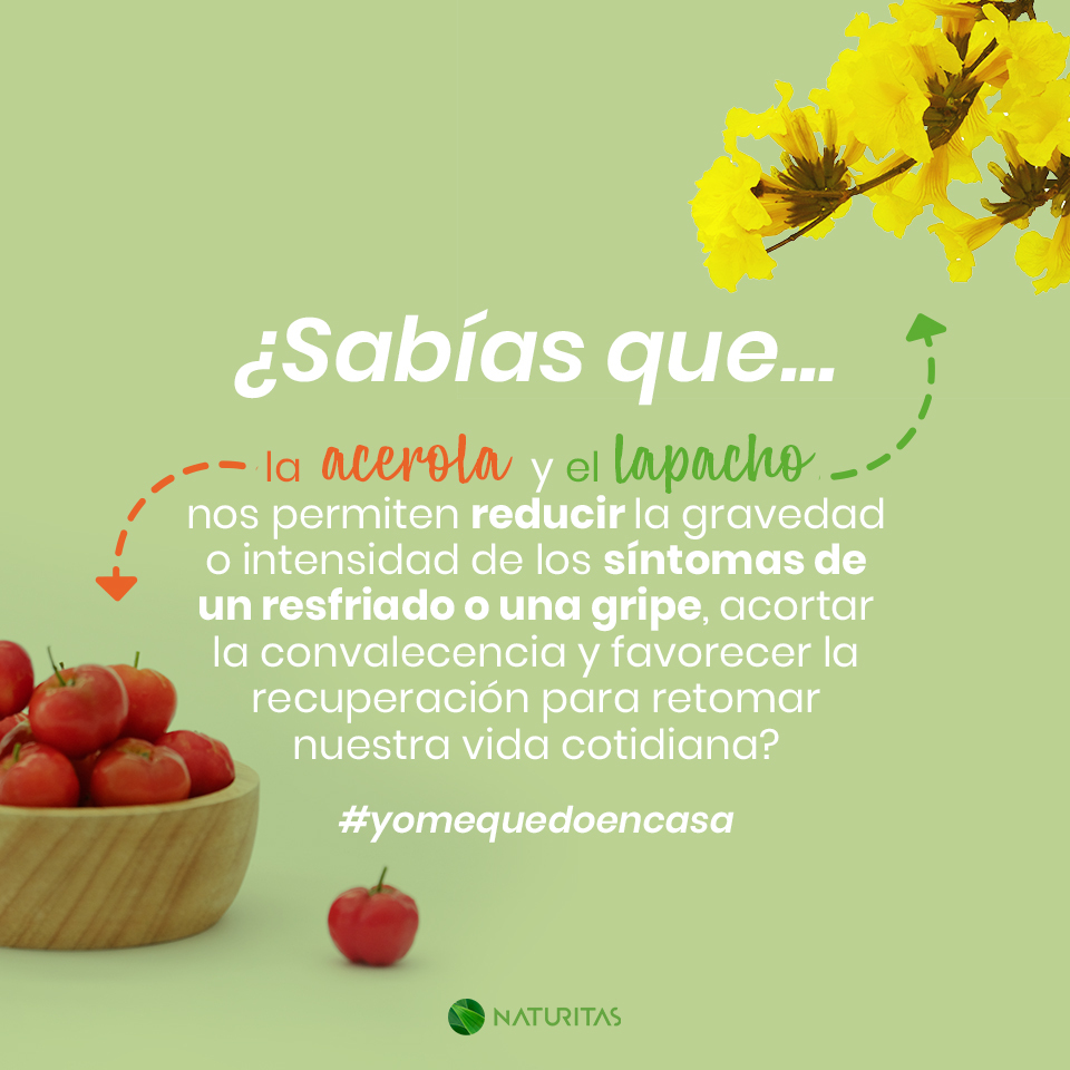 naturitas_es's tweet photo. ❗❗ #Acerola y #Lapacho.

¿Los conocíais?
¡Cuéntanoslo en comentarios!👇

¡Recuerda! #yomequedoencasa

Encuéntranos en 🖱️ https://t.co/zNBNlKICoT

#Naturitas #naturitascontigo #naturitasrecomienda #cuidadosnaturitas #naturlovers #genuinamentenatural #genuinamentenaturitas https://t.co/c39ZlcZL1U