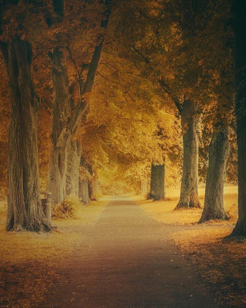 mextures's tweet image. Has Social Media Played A Role In Your Photography Journey?

Read more about our friend Lee 👉 lttr.ai/OQrD

#mextures #Instagram #photography