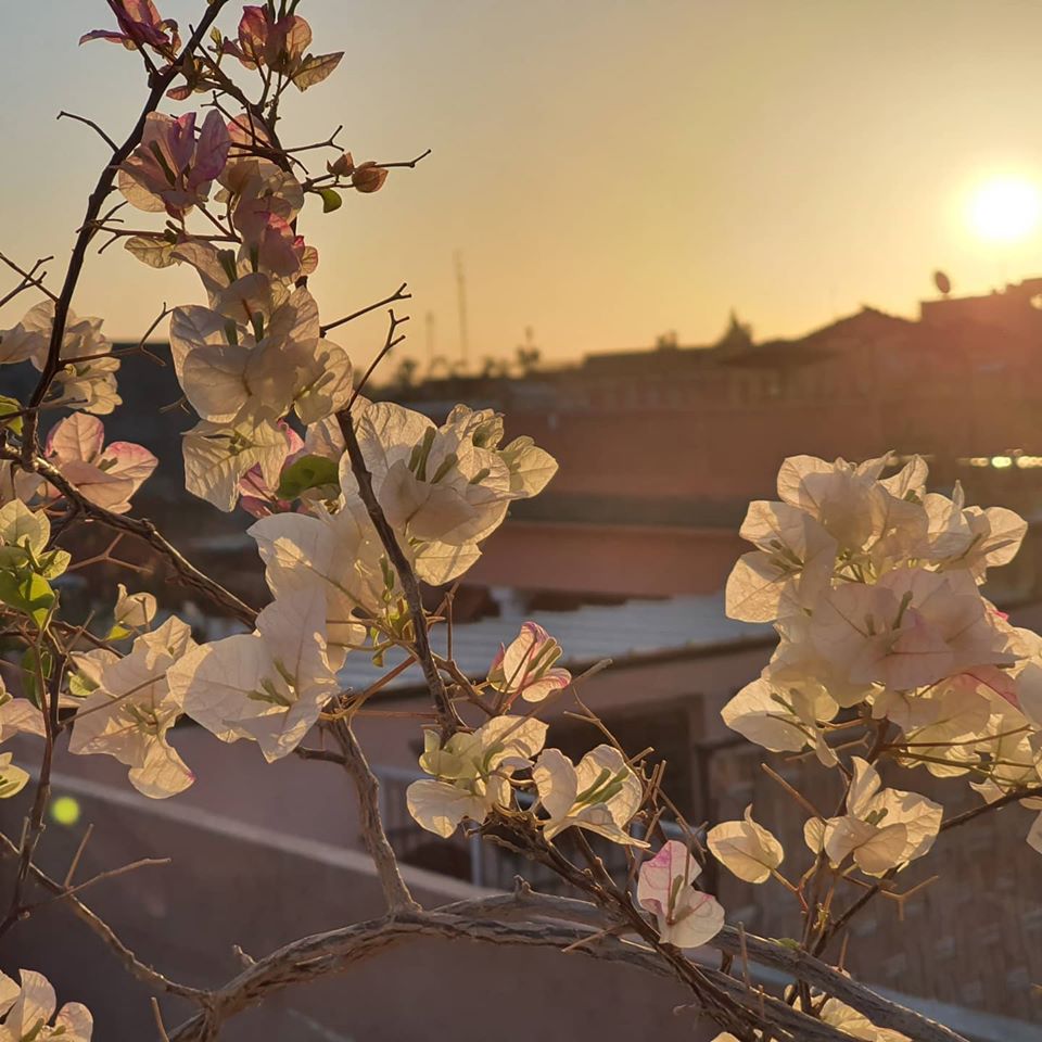 Sara Edwards tweet media