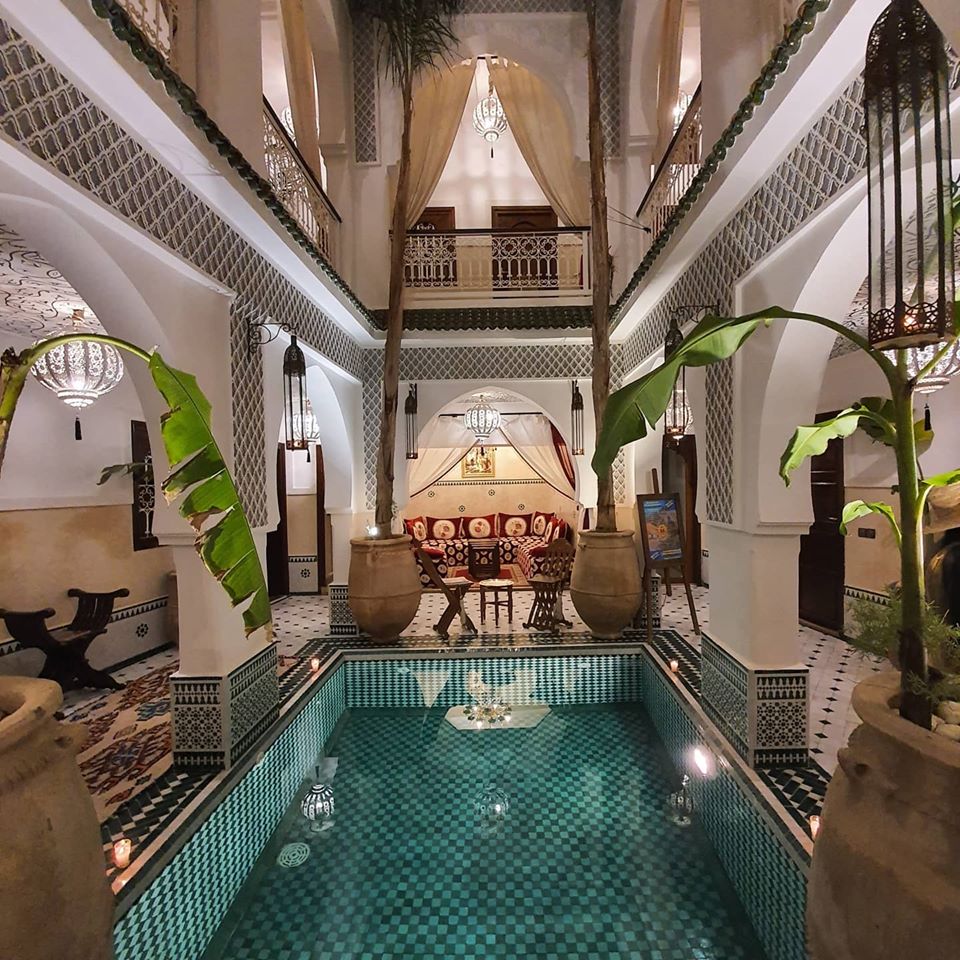 Sara Edwards tweet media