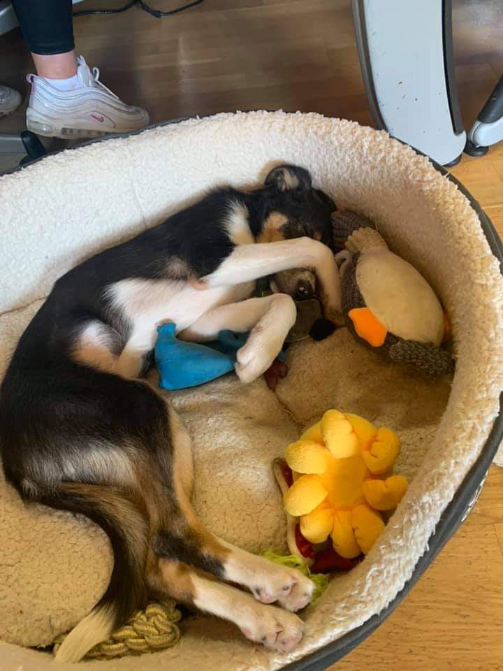 StandOutSarah tweet media