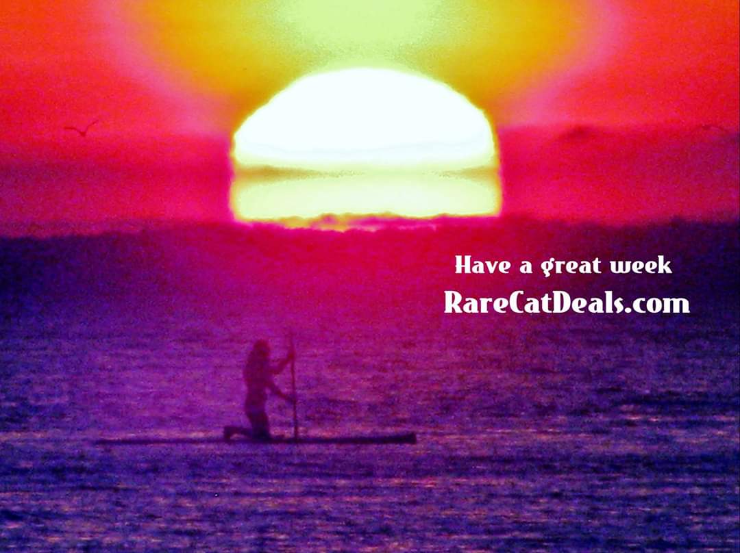 RareCat's tweet photo. Do the very best you can and leave the outcome to God. ☮❤
#LoveWillKeepUsTogether
#sunrisedaily #TopOfTheWeek2U
#HABD https://t.co/HsaJKGoDIv