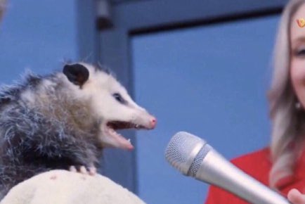 Who’s getting the new animal crossing to remember what having a social life is like