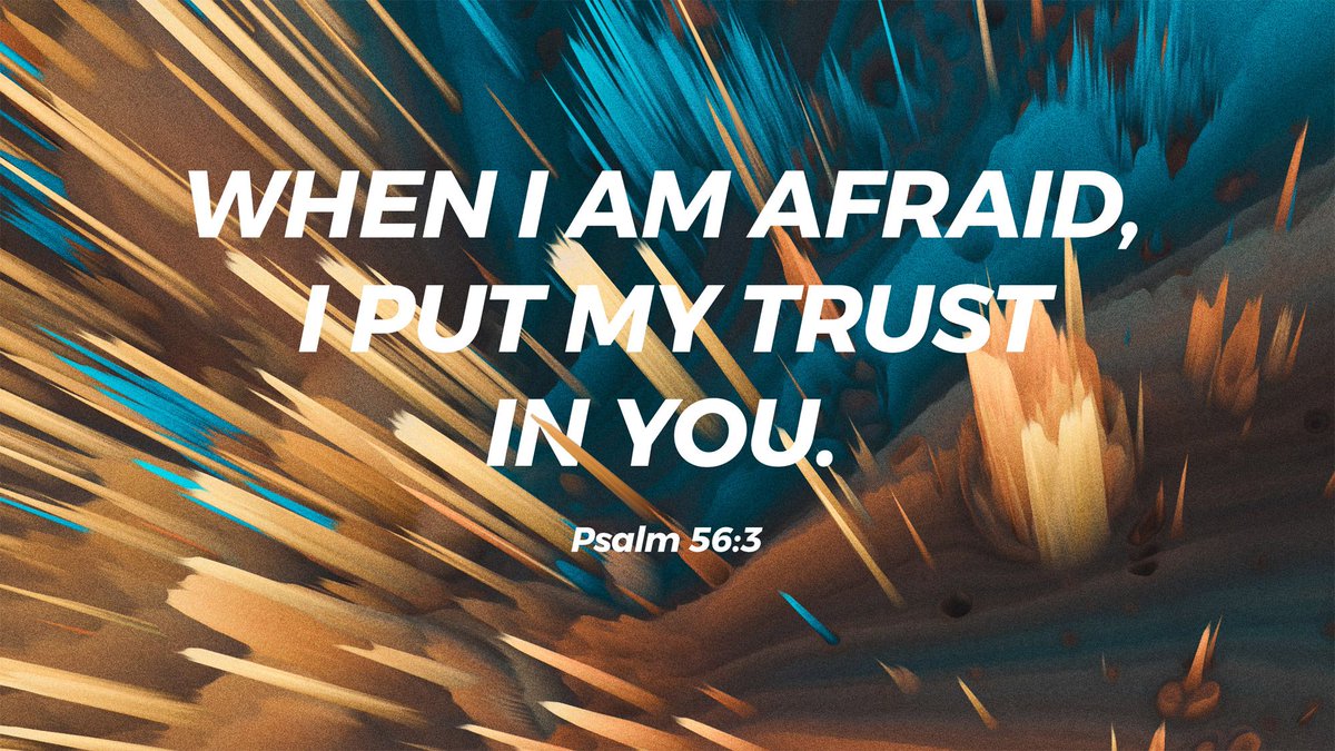 Grace Timonium tweet media