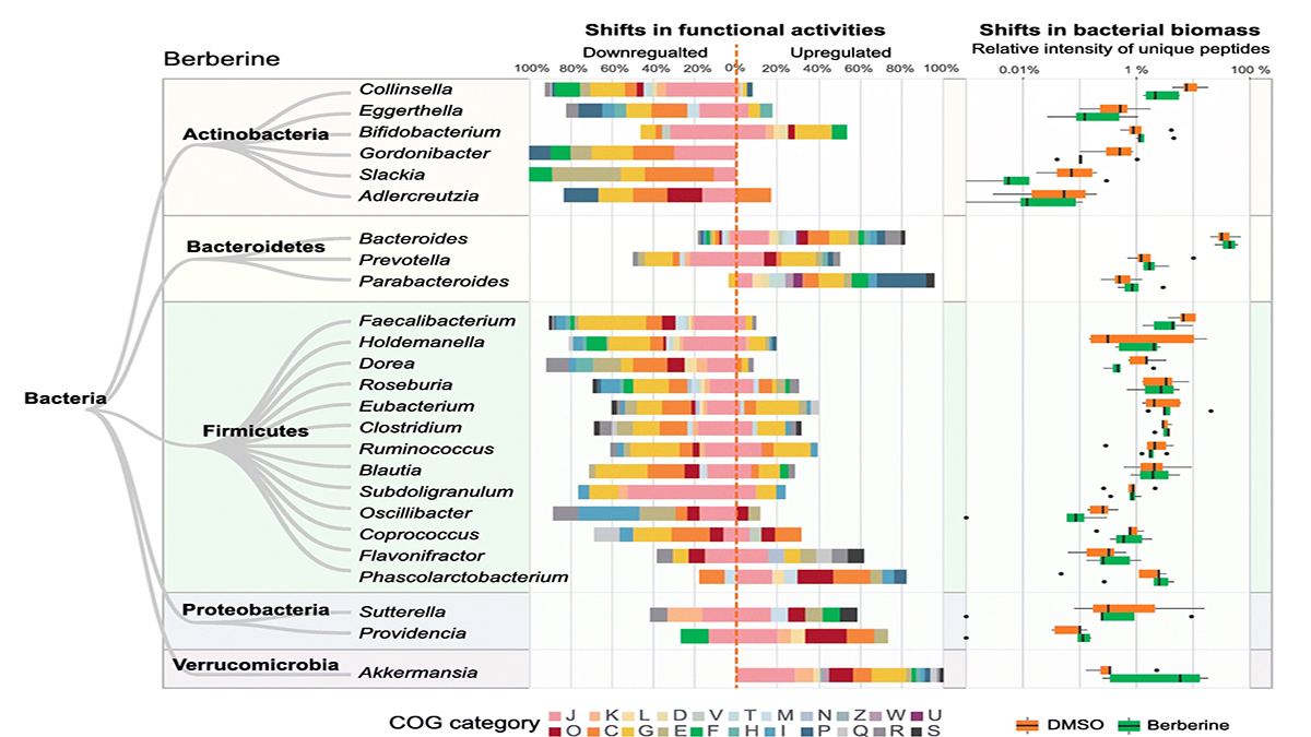 Did you know that #drugs can affect bacterial functions in the gut #microbiome without changing their abundances?  Only looking at microbiome composition is insufficient to understand whether drugs have functional effects on the microbiome. More details:
rdcu.be/b2Q7r