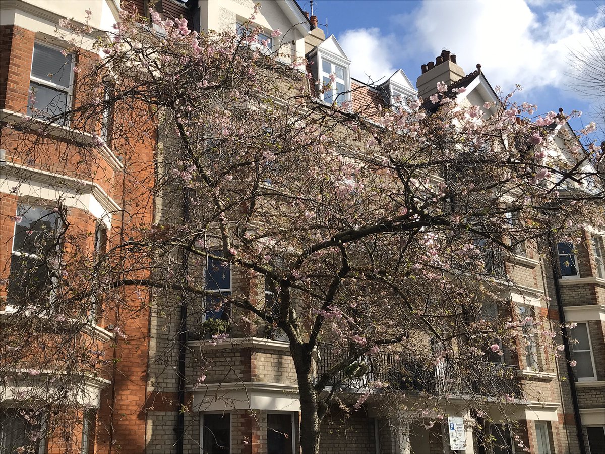 Labour For Little Venice Labourforlv Twitter