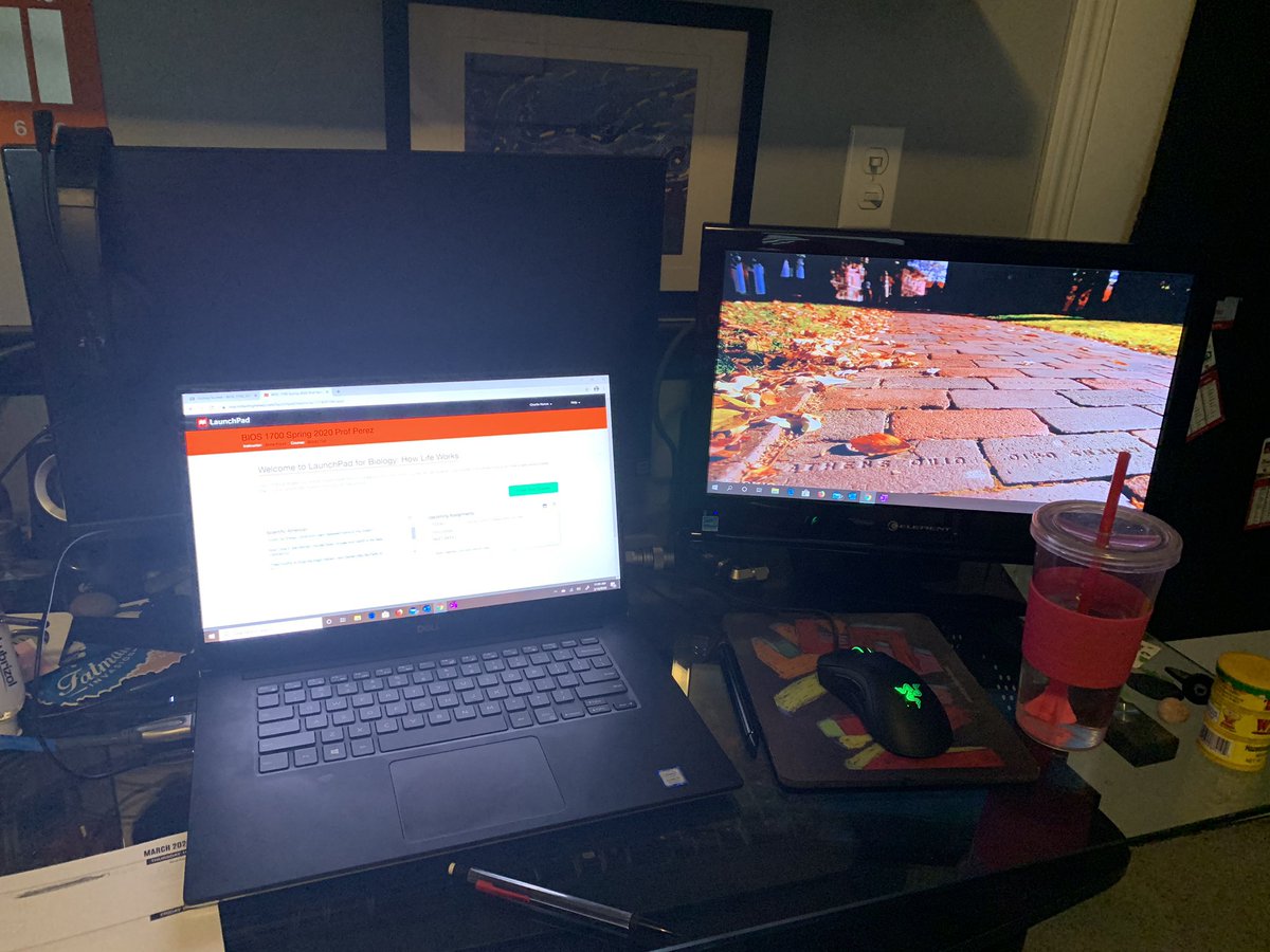 RandomCharlie1's tweet image. Virus University has received an upgrade