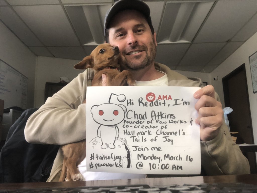 Paw Works tweet media