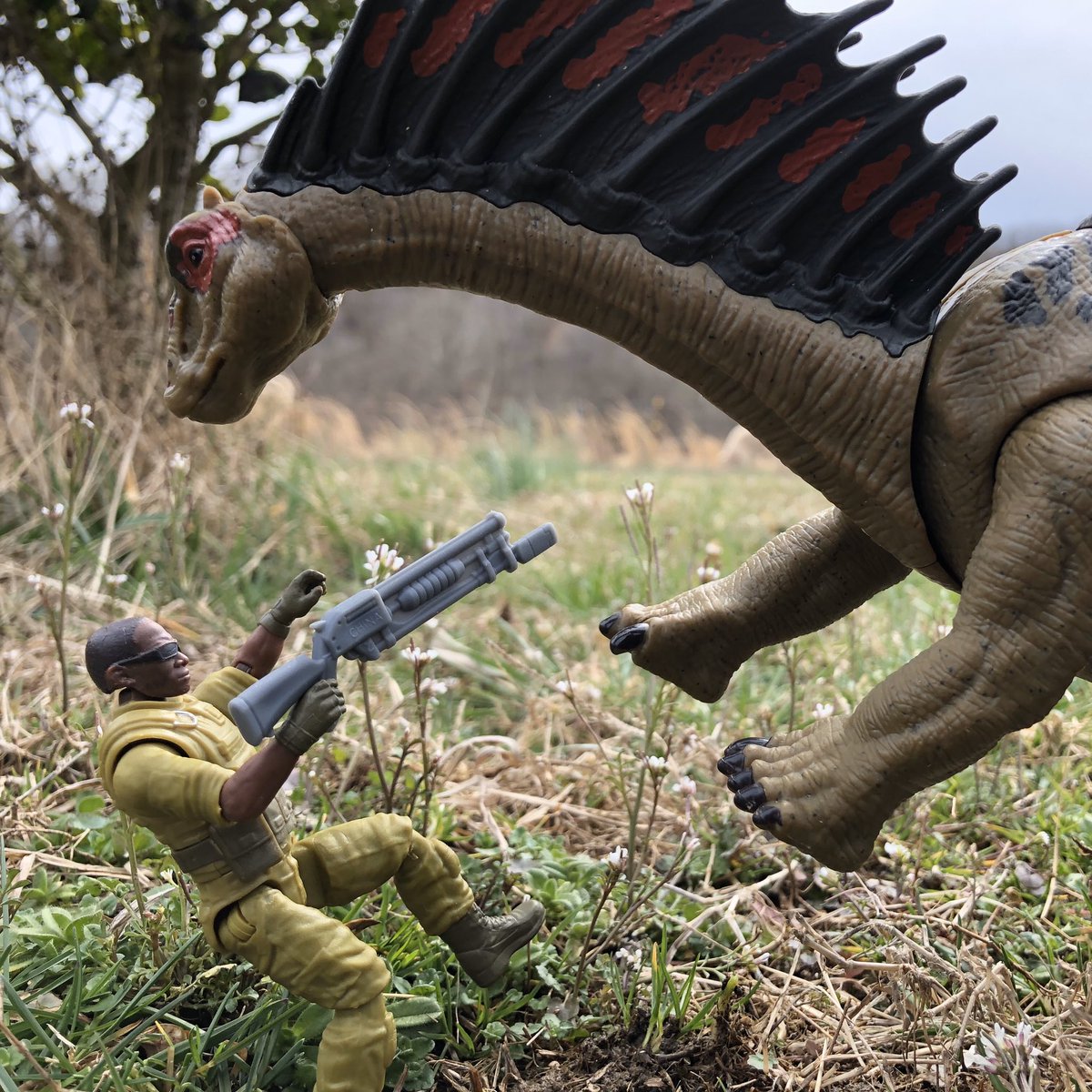 CollectorPaleo's tweet photo. Amargasaurus Fights Back
#mattel #matteljurassicworld #matteltoys #jurassicworld #jurassicworldtoys #jurassicpark #jurassicparktoys #dinorivals #amargasaurus #dualattack https://t.co/djEcZZWPFB