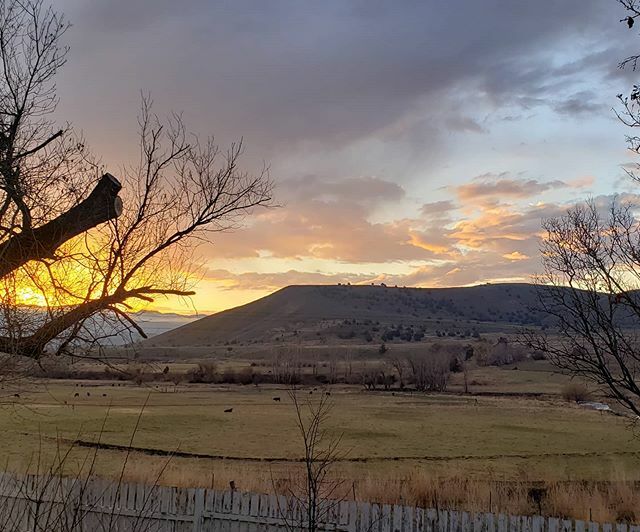 sagebrushbeyond's tweet photo. Good morning! We have lived in a lot of beautiful, wild and remote places.. But there is just something extra special about this place and waking up to this sunrise every morning. 🌅🧡
.
.
#sunrise #sunriseoftheday #sunrise_pics #sunrise_sunsets #easte… https://t.co/9BfFQbiSUn https://t.co/LIcYxn0vlc