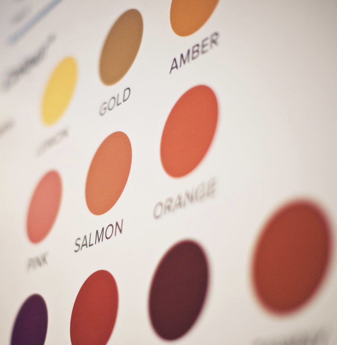 Simplytlkngwine's tweet photo. How do you describe the color of your wine? Which color is your favorite? https://t.co/887dJiqiZU
