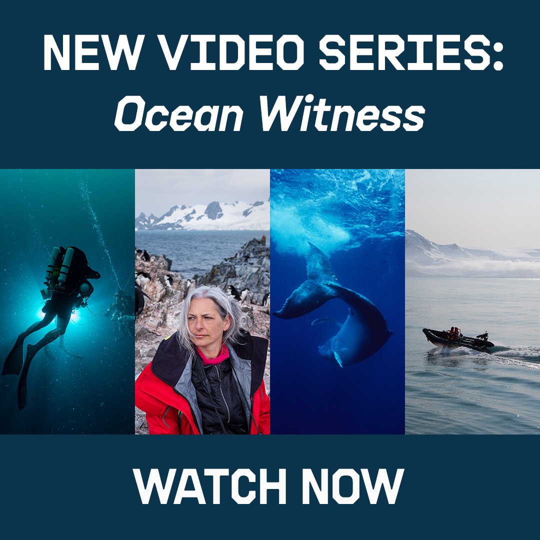 If you're fascinated by our oceans, check out our new 5 part mini series Ocean Witness. 🌊🌊🌊

Our hosts <a href="/sophiedukebox/">DUKER</a> and <a href="/SimonDWatt/">Simon Watt</a> explore the threats to our oceans - and what we can do to help protect them. 💙💙 #ProtectTheOceans 🌊🌊

Watch now &gt;&gt; act.gp/2U85Hhq