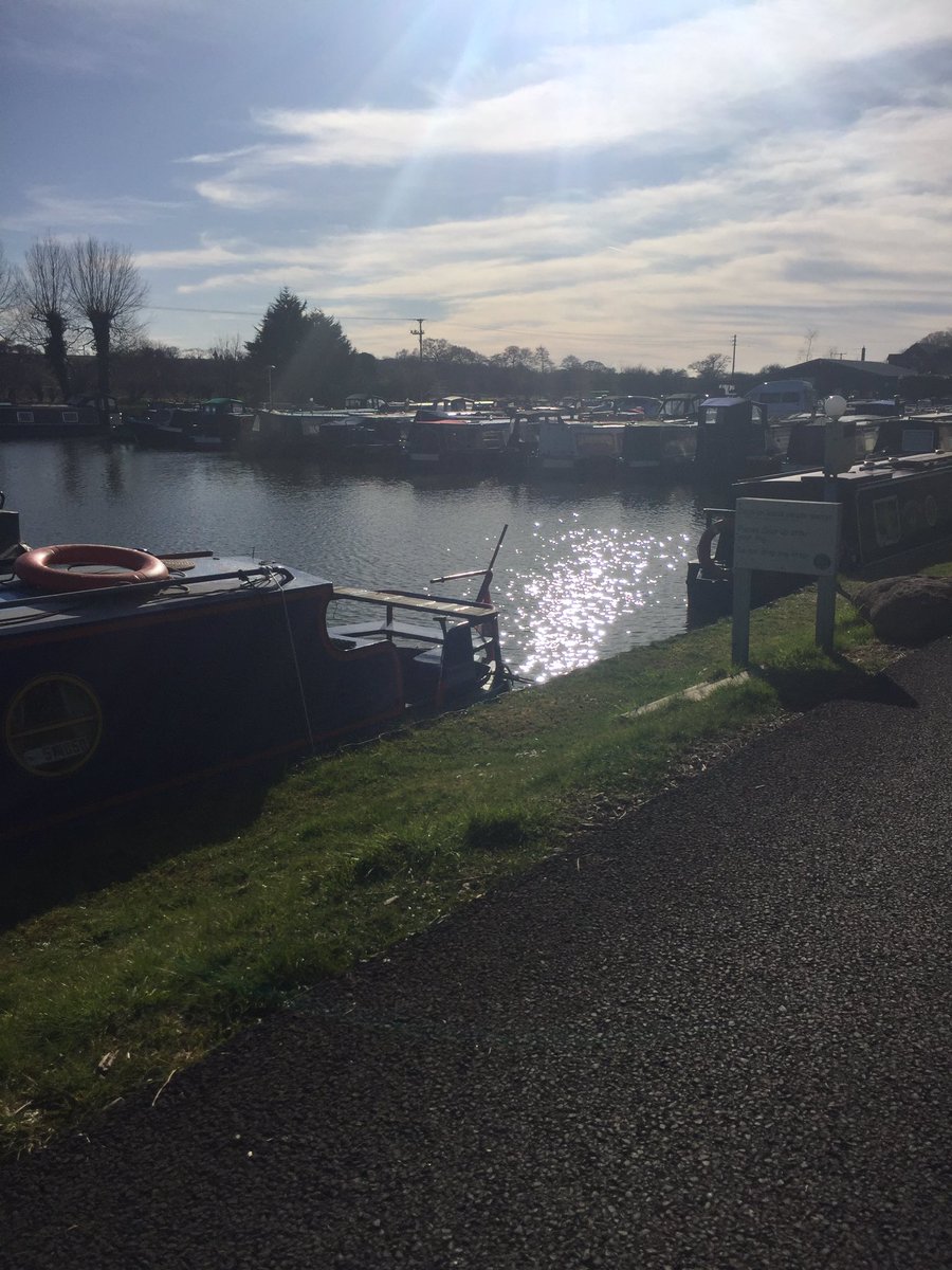devizes_marina's tweet photo. Lots of lovely sunshine today. The bees and butterflies have woken up https://t.co/SkrlvFjAYD