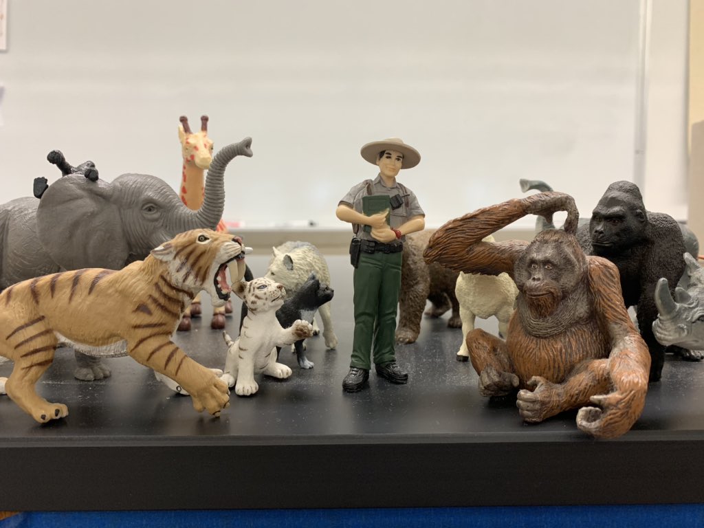 ColumbianBio's tweet photo. TCBio.....I’m leaving Ranger Rick in charge of the animals while we are gone. Hopefully he can handle it for a few weeks. #TCBIO #scholars #slackers https://t.co/ivKGxiCI3Y