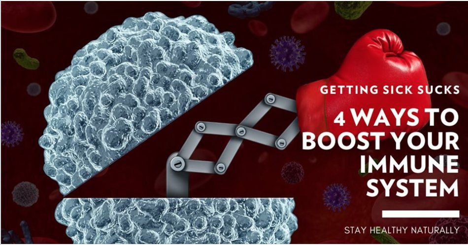 Fourpoints® Bar tweet media