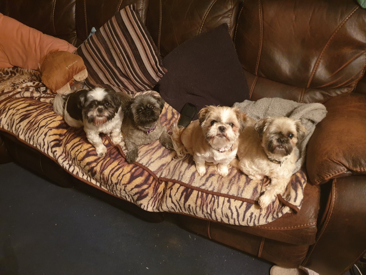 StandOutSarah tweet media