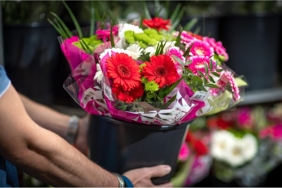 Om onze zorgcollega’s te bedanken en te steunen, delen we morgen bloemen uit die door onze kwekers met veel passie zijn geproduceerd, maar momenteel verloren gaan door de coronacrisis. 
royalfloraholland.com/sierteeltsecto… #sierteelt #corona #coronacrisis #royalfloraholland