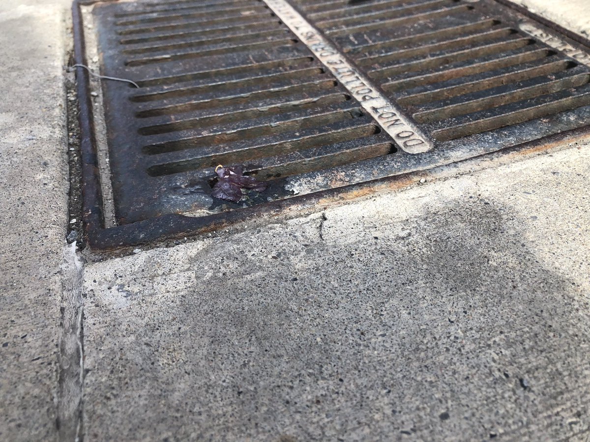 Micah Yoder tweet media