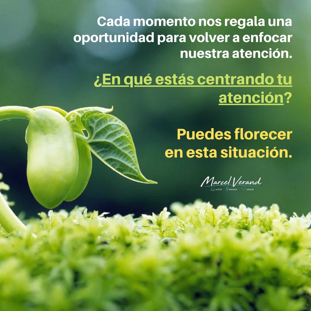 Marcel Verand tweet media