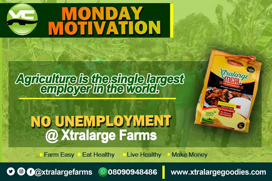 xtralarge_farms's tweet photo. Agriculture is the single largest employer in the world.
No unemployment @ Xtralarge Farms. Come and farm with us.
https://t.co/AGaeznWvtQ
#gowonder #xtralarge #xtralargefarms #agriwealth #agriculture #employment #food #farming #empowerment #africanfoods #naijafoodblog #pulse https://t.co/UzCpv3W2fX