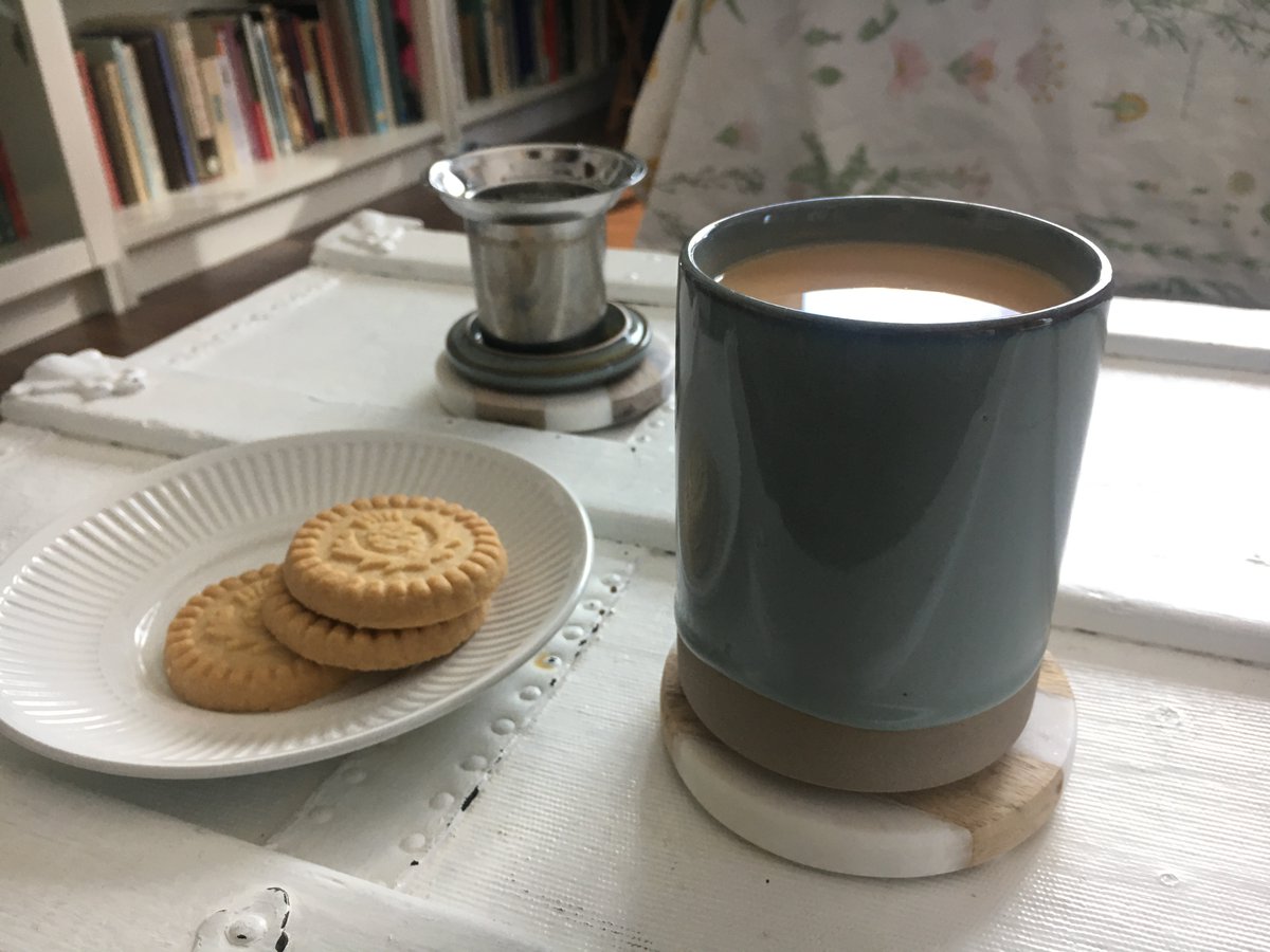 RebeccaNeals's tweet photo. Meanwhile, I was sure I was going to be SUPER EXTRA PRODUCTIVE with social distancing... but it turns out that it's just my normal life. 

Stay home, read, internet, do admin stuff, do chores, go for a run by myself, only run errands when they're urgent. https://t.co/FN9MkVf3sh