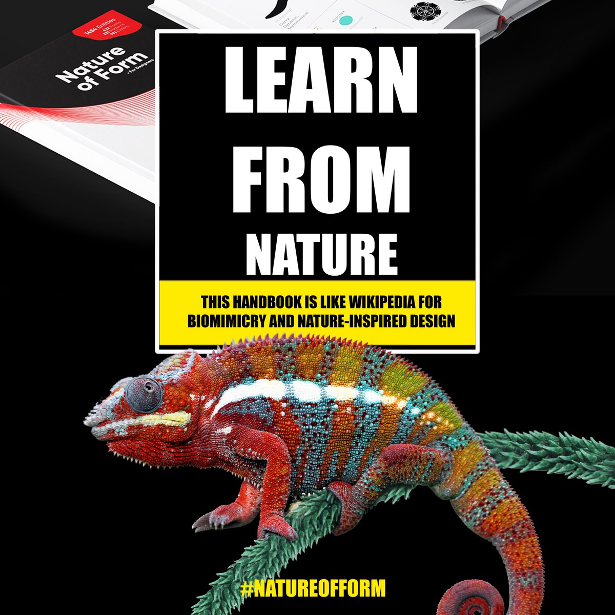 FabLab17's tweet photo. A must have #book for #Designer &amp; #Creative  #children 
 https://t.co/5ioxdTaLuW
#kickstarter #gofundme #indiegogo #booklover  #crowdfunding #designinspiration #sketchaday #behance   #artists  #Biomimicry #Biomimicrydesign #Art #natuerinspireddesign #ProductDesign #graphicdesign https://t.co/Hki8xk9A3x