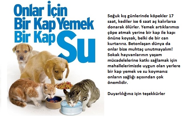 LÜTFEN DİKKATLİ OKU

Korona Virüsü Yüzünden
İnsanlar Sokak Hayvanlarını
Beslemeyi Unuttu

Hadi Şimdi Kalk Sokağın'daki
Hayvanlara Yemek Ve Su Ver.

Lütfen Çöp Kenarlarına
Yemek Su Koyun

Tüm Hayvanlar
Orada Sizleri Bekliyor

Onlar Şuan Açlar

#Kıyamet
Küba
#sokağaçıkmayasağı