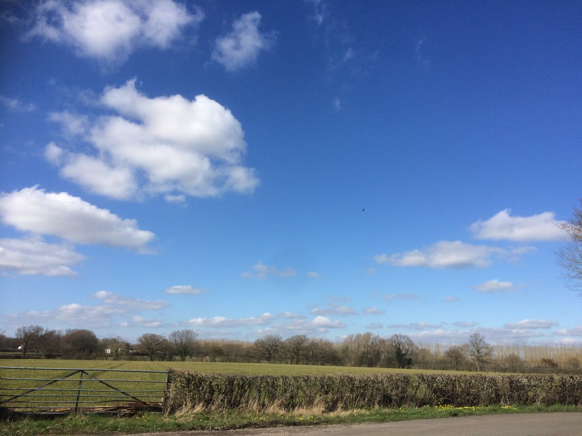 #workingfromhome is normal for me. I should leave my desk for a walk every day but I don’t. Today the sunshine lured me out and I can’t stress how good it was getting out on this beautiful spring day. Talk about an antidote to the #covid anxiety we’re all feeling at the moment.