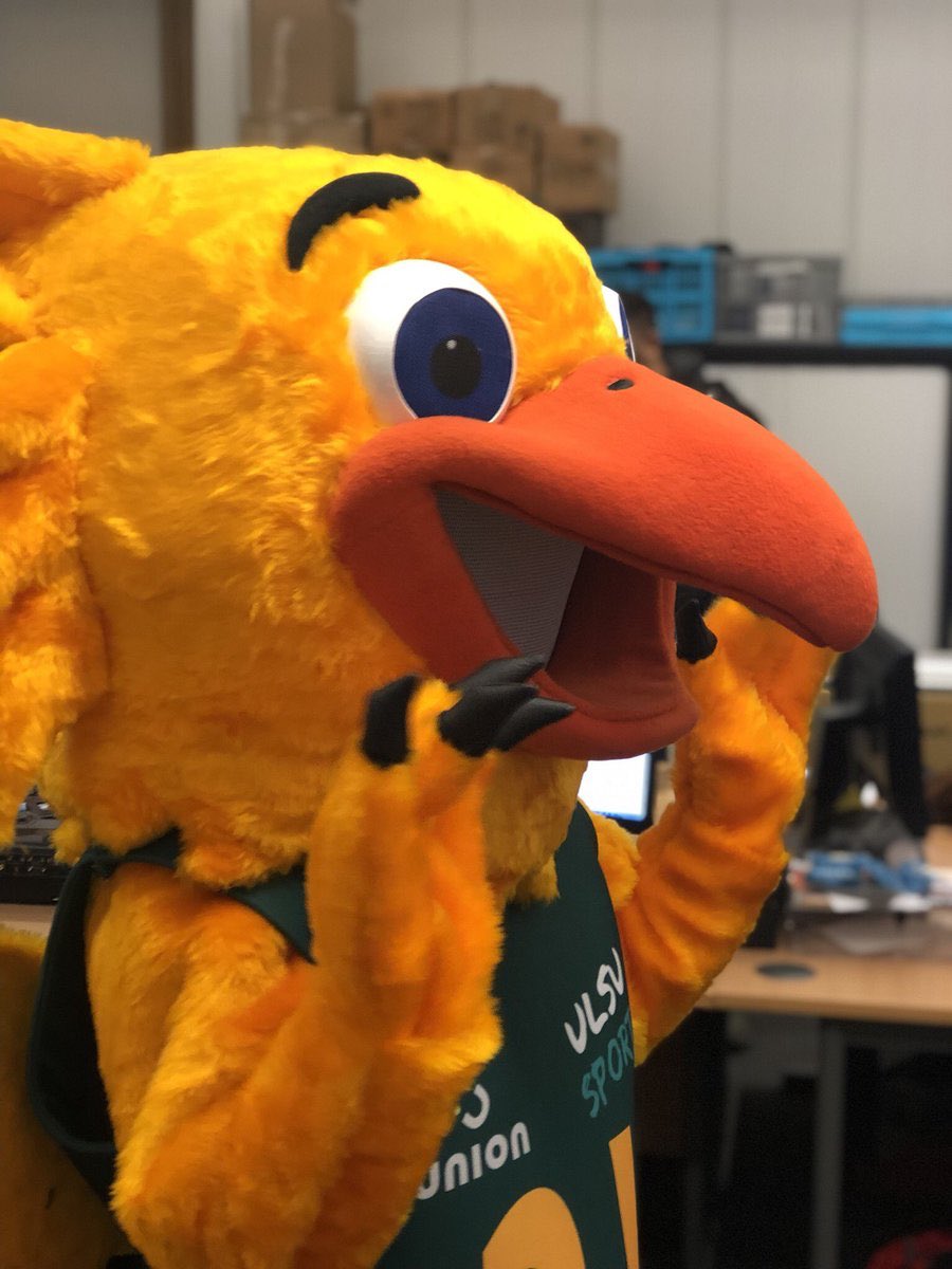 LeicBarstool's tweet photo. BREAKING NEWS: Gary the Griffin has tested positive for being the greatest Mascot in the UK https://t.co/KVUasnpE26