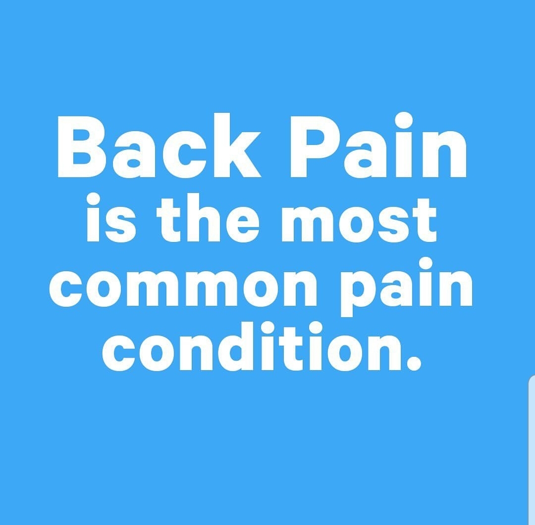 In a survey done by the National Institute of Health, more than 26 million Americans age 20 to 64 suffer from back pain. #backpain #backpainrelief #backpainsucks #painreleif