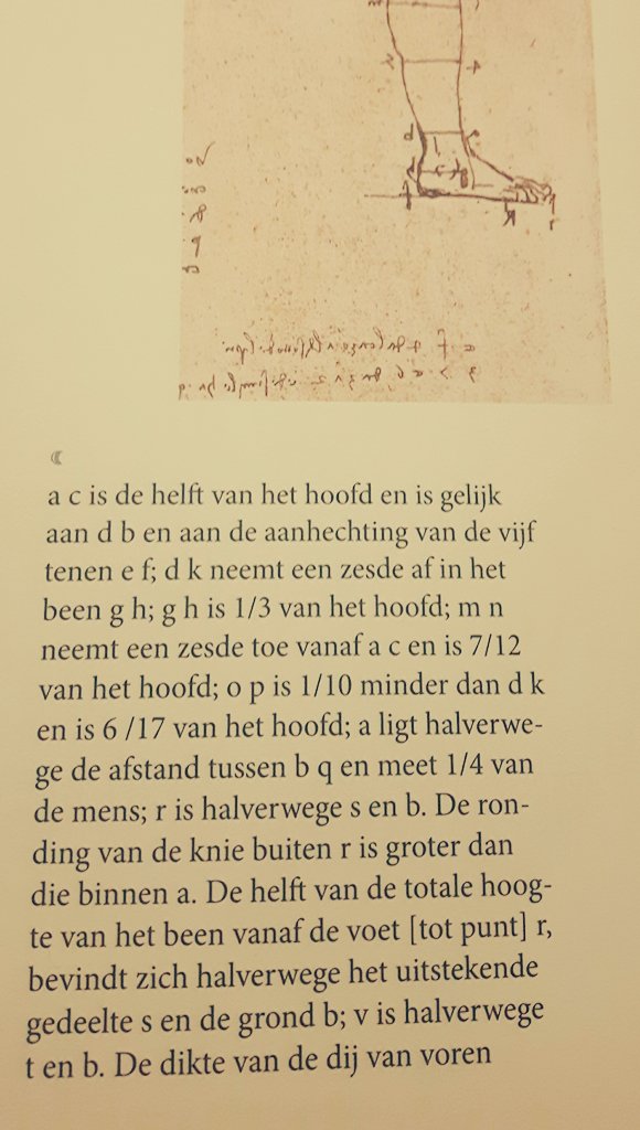 SJOERDvanHEIST's tweet image. De mate waarop Leonardo da Vinci alles van het menselijk lichaam in kaart bracht &amp;amp; overal patronen, verhoudingen en symmetrie in zag ,  is zo bijzonder. Zijn brein kende geen grenzen!!. Bij mij begon het hier toch echt wel eventjes duizelen. #LdaV #aantekeningen